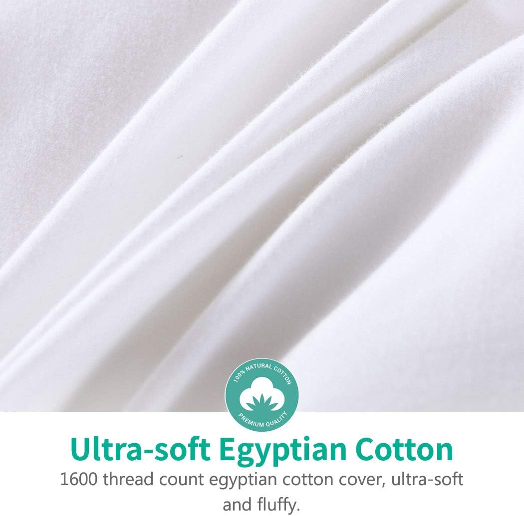 APSMILE Luxurious All Seasons European Goose Down Comforter Full/Queen Size Duvet Insert - Ultra-Soft Egyptian Cotton, 47 Oz 750 Fill Power Fluffy Medium Warmth, Solid White: Home & Kitchen