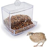 Button Quail Transparent Automatic Feeder Feed Box Seed Food Container