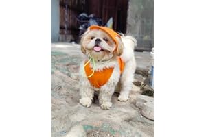 Dog-O-Bow Orange Baseball Cap (Large)