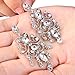 BriLove Silver-Tone Dangle Earrings Women's Vintage Style Bridal Crystal Drop Hollow Filigree Chandelier Earrings Clear
