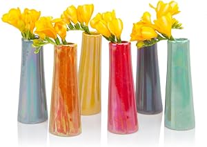 Chive - Set of 6 Galaxy, 1.5" in Wide 5.5" Tall Small Cylinder Ceramic Bud Flower Vase, Unique Single Flower Decorative Floral Vase for Home Decor, Bulk (Yellow, Green, Red, Blue, Orange)