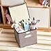 EZOWare 4pc Large Storage Basket Bins with Lid, Linen lidded Fabric Folding Cubes Containers - Gray, 9.8 x 9.8 x 9.8 inches