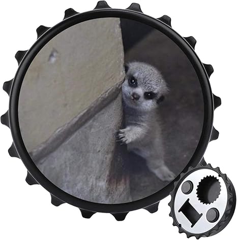 Amazon かわいいミーアキャットの 鼠 オープナー缶オープナー 冷蔵庫用マグネット多機能 蓋開け 栓抜き 飲料 調味料 ビールなどの瓶 ビンの蓋 栓抜き オンライン通販