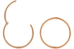 365 SLEEPERS 2PCS 316L Surgical Steel Hypoallergenic 18G Septum Jewellery Hinged Segment Ring Body Piercing Hoop Lip Rings He