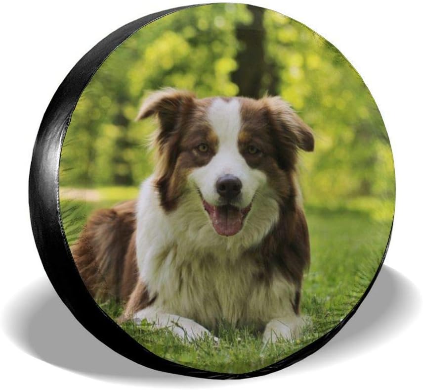 australian shepherd accessories