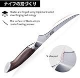HOSHANHO 7 Inch Fillet Knife - Japanese High Carbon Stainless Steel view 4
