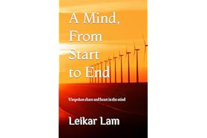 A Mind, From Start to End: Unspoken chaos and heart in the mind