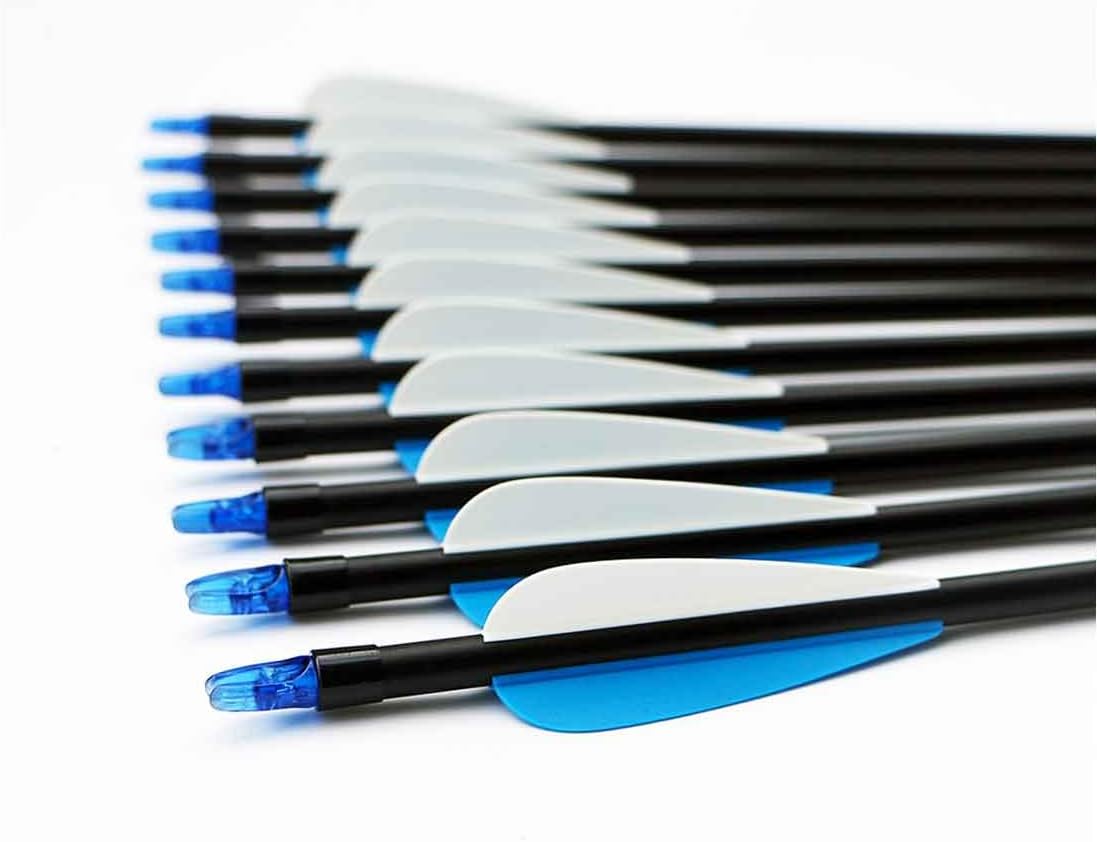 10Dare Arrows for Archery Competition with Replaceable Heads