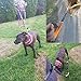 Retractable Hands Free Dog Leash, Dual-Handle Bungee Extendable Shock Absorbing Leash Reflective Stitching Adjustable Waist Belt for For Running, Walking, Hiking, Dog Training Up to 150 lb Large Dogs