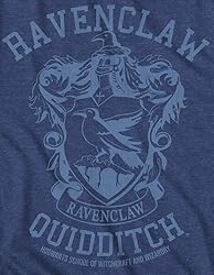 Harry Potter Ravenclaw Quidditch Team Adult