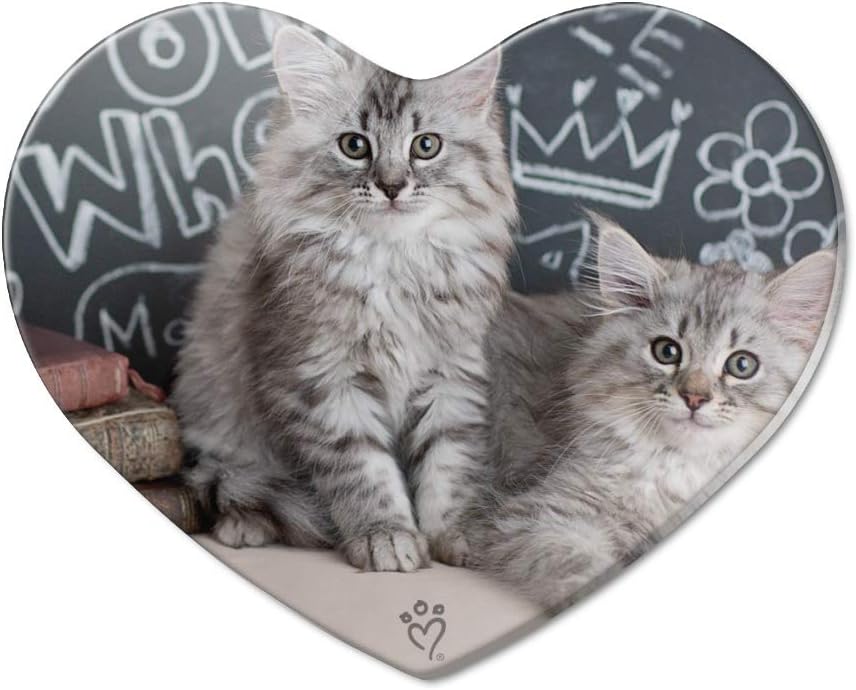 Amazon Com Siberian Tabby Kittens Cats School Chalkboard Learning