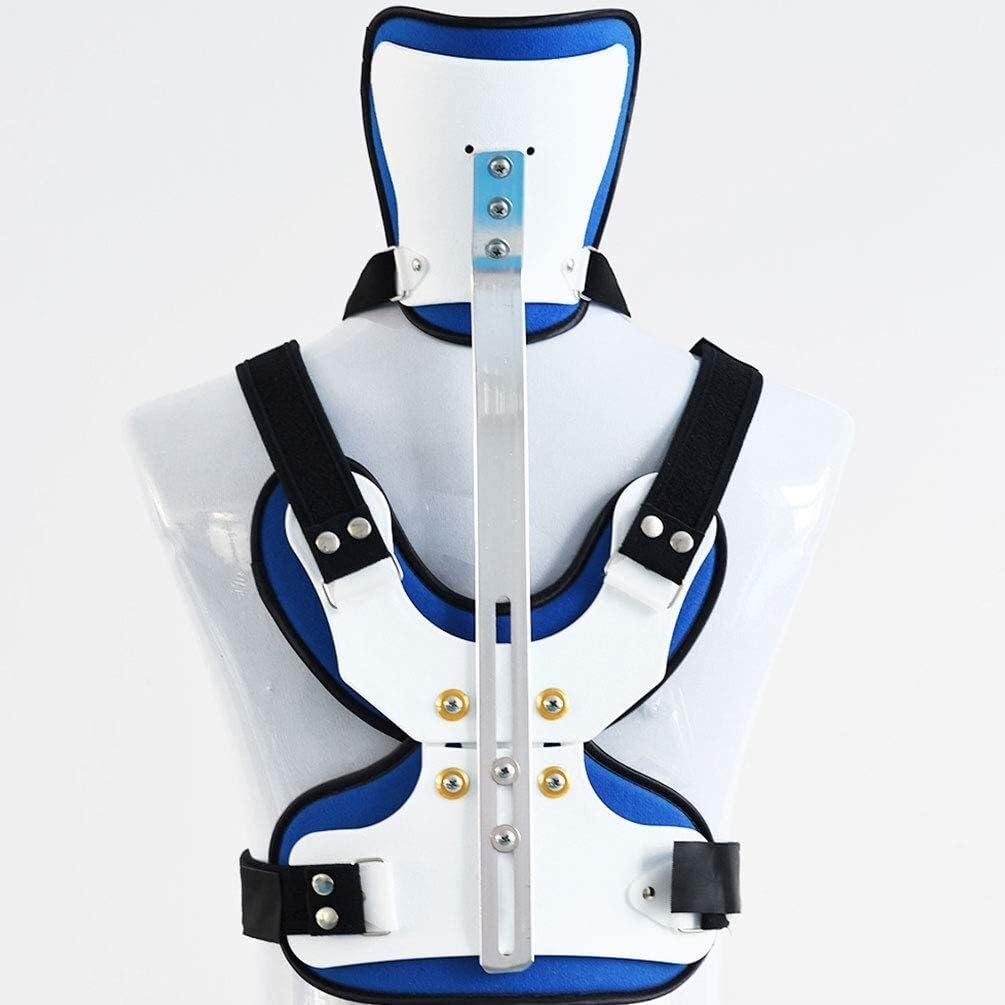 Top 10 Mejores Ortesis halo vest ortopédicas (Diciembre 2020) Guía