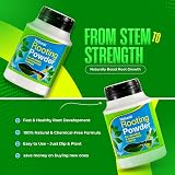 Karrma Natural Rooting Powder 75g for All Plant Cuttings view 6