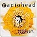 Pablo Honey primary
