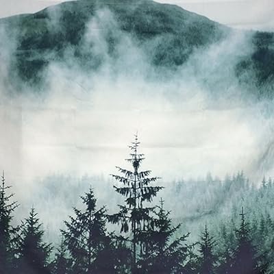 Download Buy Heopapin Misty Forest With Mountains Tapestry Fog Fantasy Magical Trees Landscape Wall Hanging Mandala Bohemian Wall Tapestry 3d Vision Nature Tree Tapestry Wall Hanging Online In Tunisia B07fc7mj3x