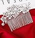 DaXi Wedding Hair Side Combs Bridal Hair Combs Bridal Shower Hair Clips for Brides and Bridesmaids