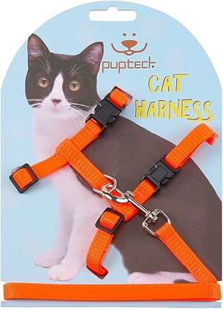amazon cat leash