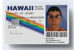 WORKIRAN Driver Licence Meme Card Sticker | Key, Debit, Credit Card | Covering & Personalizing Bank Card | No Bubble, Slim, Waterproof Card Cover (Model4)