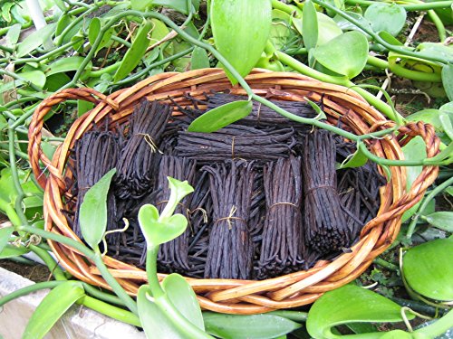 Bakto Flavors Pure Vanilla Extract - (Made from 100% Madagascar Bourbon) - 8 OZ - Pack of 2 - Thumbnail 2