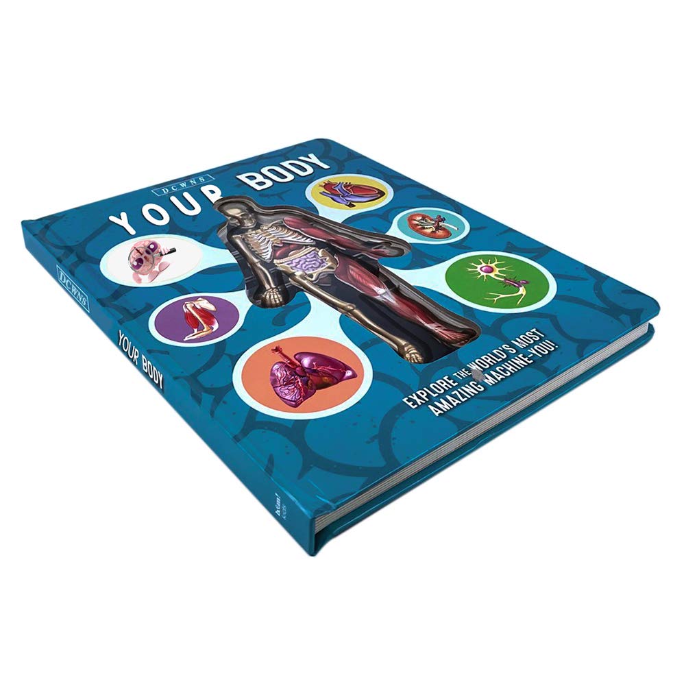 HXAZGSJA 3D Picture Book, Anatomy of The Human Body in English Popular Science Book, 3D Picture Book