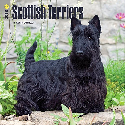 Scottish Terriers 2018 Wall Calendar