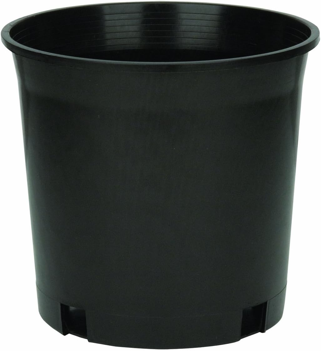 Pro Cal Premium Nursery Pot 2 Gal