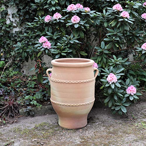 Palatina-Keramik | Terracotta Amphore | 50 cm | Pflanzkübel, Pflanzgefäß, Balkon, Garten, Terrasse Thymus 2