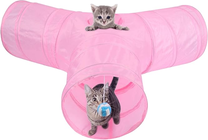 dog kennels for holidays near me