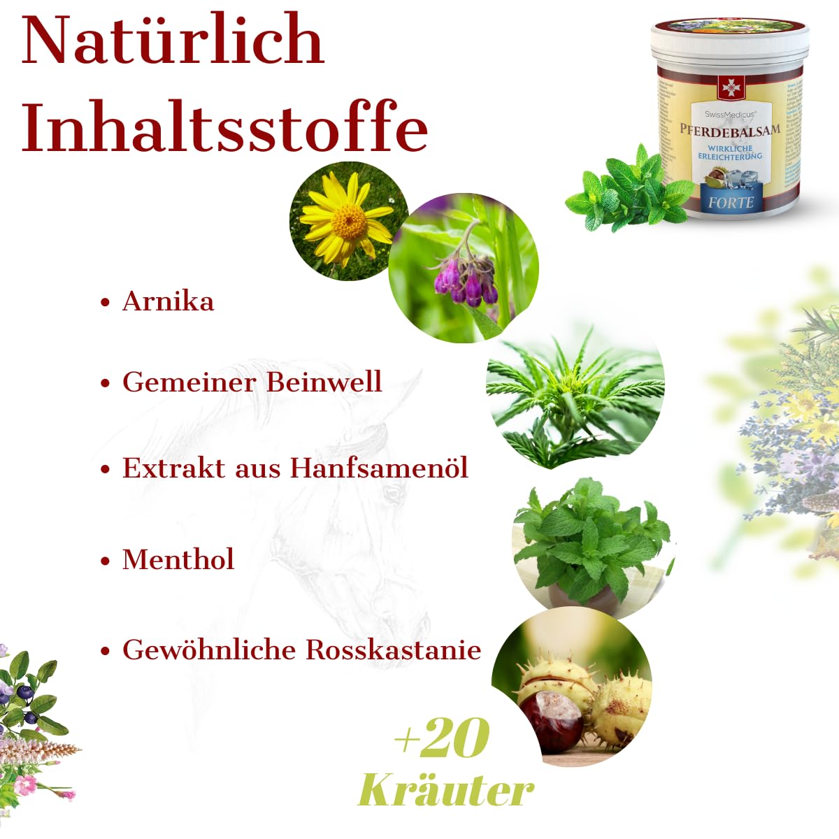 SwissMedicus Pferdebalsam mit 25 Kräuter (Beinwell, Rosskastanie, Arnika, Eukalyptus) – Spürbare Linderung bei Massage – Für Muskeln, Gelenke und Rücken – Kühlende Extra-Starke Formel – 500 ml 4
