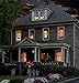 WOWindow Posters Green Eyed Glowing Eyes Halloween Window Decoration Two 34.5”x60