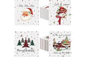 YIQXKOUY 100 Pieces Christmas Disposable Cocktail Napkins in 4 Style, 2 Ply Xmas Beverage Napkins Decorative Towel, Dinner Ha