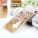 Compatible with iPhone SE, iPhone 5S, iPhone 5, Mavis's Diary 3D Bling Flowing Liquid Moving Stars Flowers Girl Pattern Clear Transparent Hard PC Cover - Rose Girl with Golden Liquid & Golden Stars
