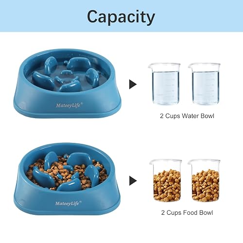 barbuzzo cat flip food bowl Meowijuana | Elevated Tilted Cat Bowl main image 0