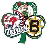 BOSTON Fan Sport Flag Irish 4