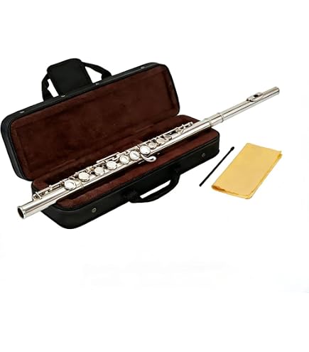 Amazon.com: Palatino WI-806-FS C Flute with Case, 16 Keys