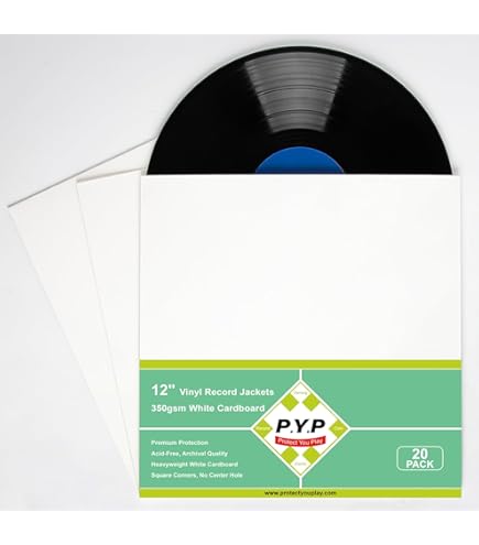 Amazon.com: CheckOutStore (10) Cardboard Vinyl Record Jackets Cover No Hole  (12