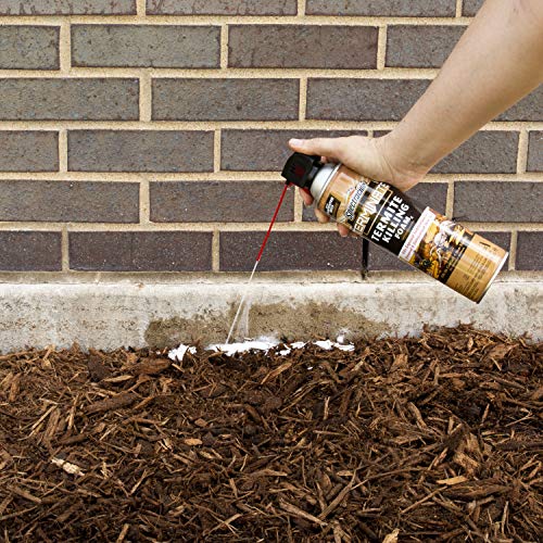 Spectracide Terminate Termite Killing Foam, Kills Exposed Subterranean