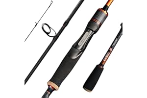 SEASIR CastX BFS Fishing Rod, Spinning Rod Casting Rod Medium Light/Heavy, 2 Piece Baitcasting Rod, Saltwater Freshwater Baitcaster Rod, Fast Action, 40T Carbon Fiber, EVA & Cork Grip, Zirconia Ring