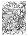 Albrecht Dürer: Coloring Book