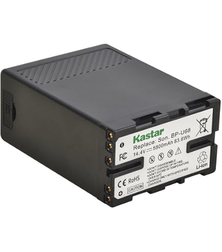 Amazon.com : Kastar BP-U30 Battery (2-Pack) for Sony BP-U90 BP-U60