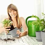 CSYY Plant Pots Indoor 6-Pack 19/17.5/16.5/15.5/14/11.5cm Self Watering Grey view 3