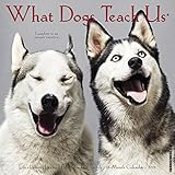 What Dogs Teach Us Mini 2019 Wall Calendar by