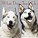What Dogs Teach Us Mini 2019 Wall Calendar by