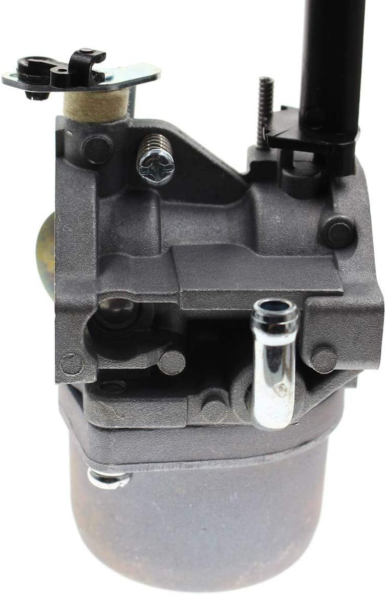 Carbhub 793778 Carburetor for Briggs & Stratton 698305 793778 Snowblower Briggs & Stratton 1450 Series Engine Craftsman Nikki 793779 Carb - 793778 Carburetor : Garden & Outdoor