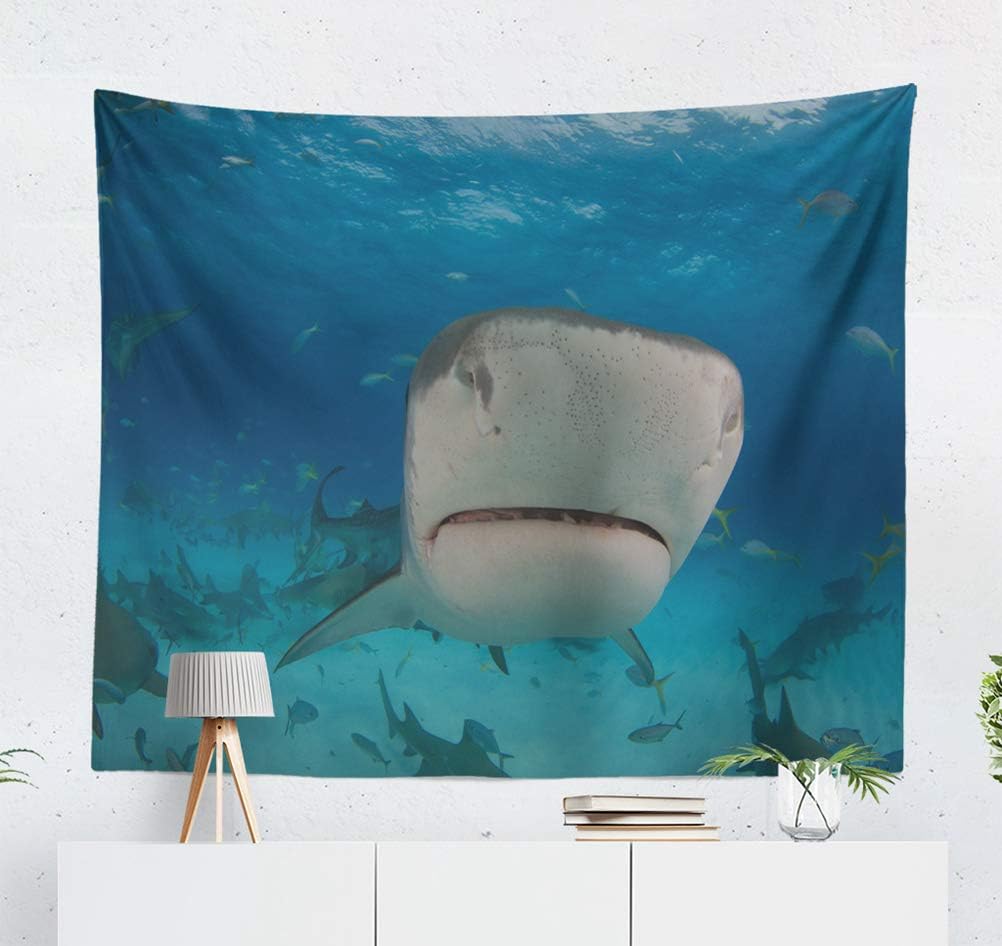 threetothree 50X60 Inches Tapestry Wall Hanging Interior Decorative Tiger Beach Shark Life Marine Sand Underwater Animal Blue Coral Fish for Bedroom Living Room Tablecloth Dorm