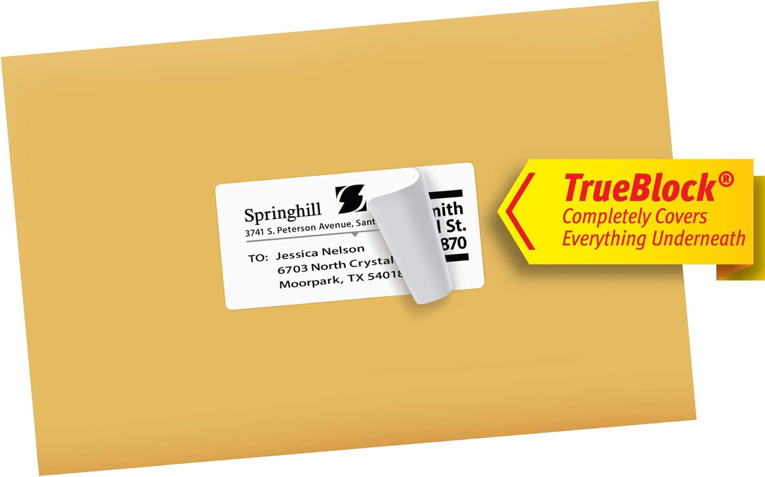 Avery 8163 Shipping Labels, Inkjet Printers, 250 Gift Labels, 2x4 Labels, Permanent Adhesive, TrueBlock, White : Office Products