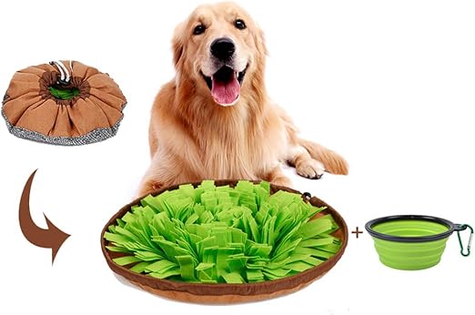 Amazon Com Snuffle Mat For Dogs Training Toy For Dog Puppy Cat And Small Pet Interactive Puzzle Games Activity Outdoor Toys To Relief Stress And Anxiety Of Your Dog Smart Brain Treat