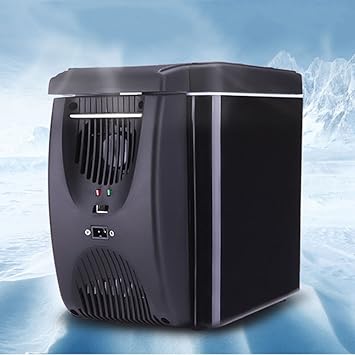 Nevera De Coche 6L Mini Refrigerador De 12 / 220V Refrigerador del ...