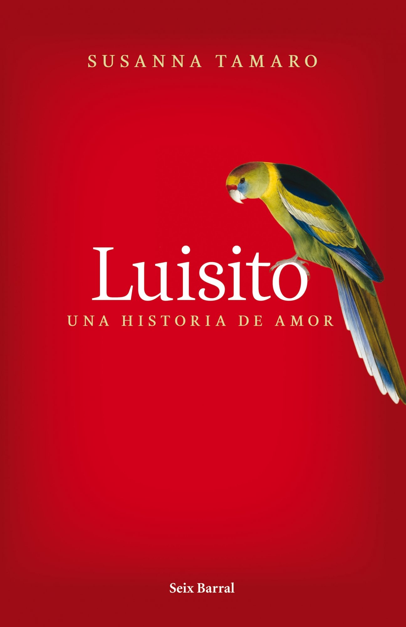Portada de Luisito. Una historia de amor (Biblioteca Abierta)