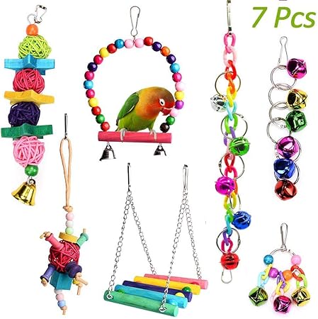 parrot swing toy